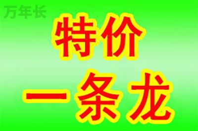 陕西省咸阳市秦都区墓地多少钱一个？